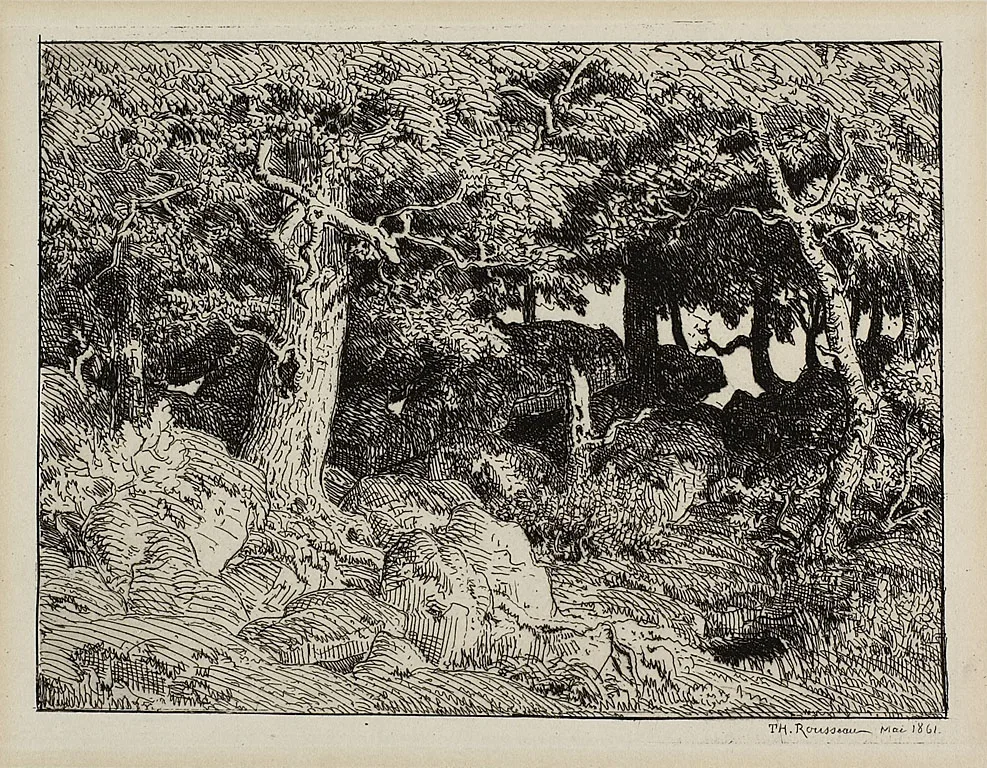 Oak from Rocks, Rousseau, 1861