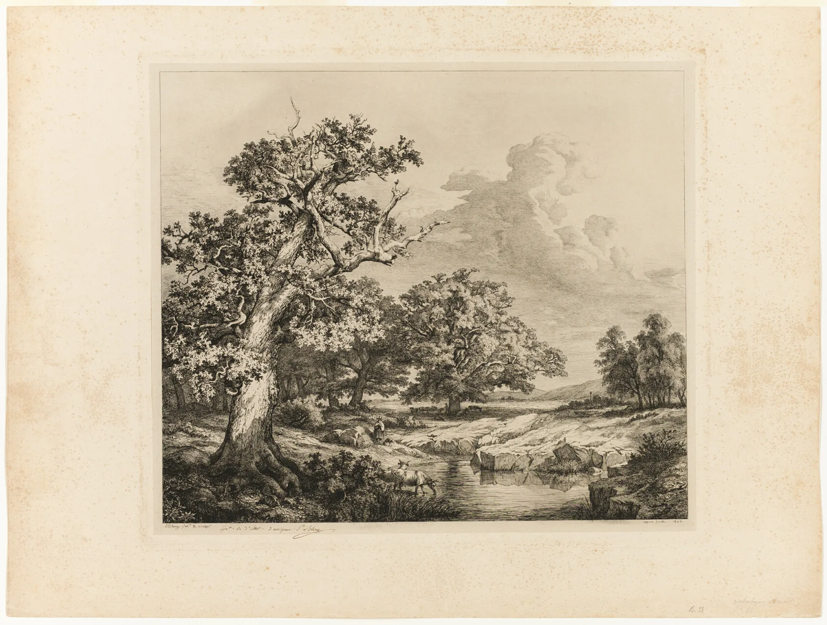 The Old Oak by the Pools at Bellecroix, Bléry, 1843