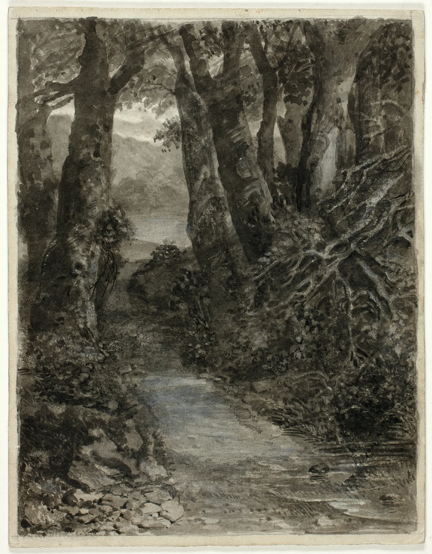 A Woodland Study, Palmer, c. 1856