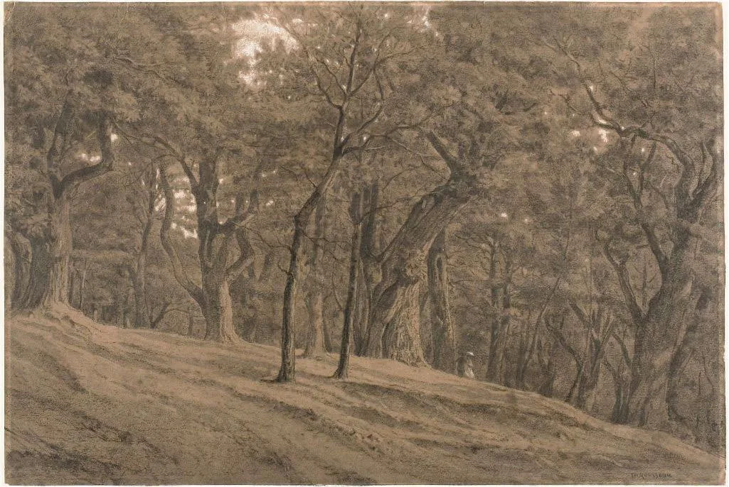 In the Forest of Fontainbleau, Rousseau, c. 1850