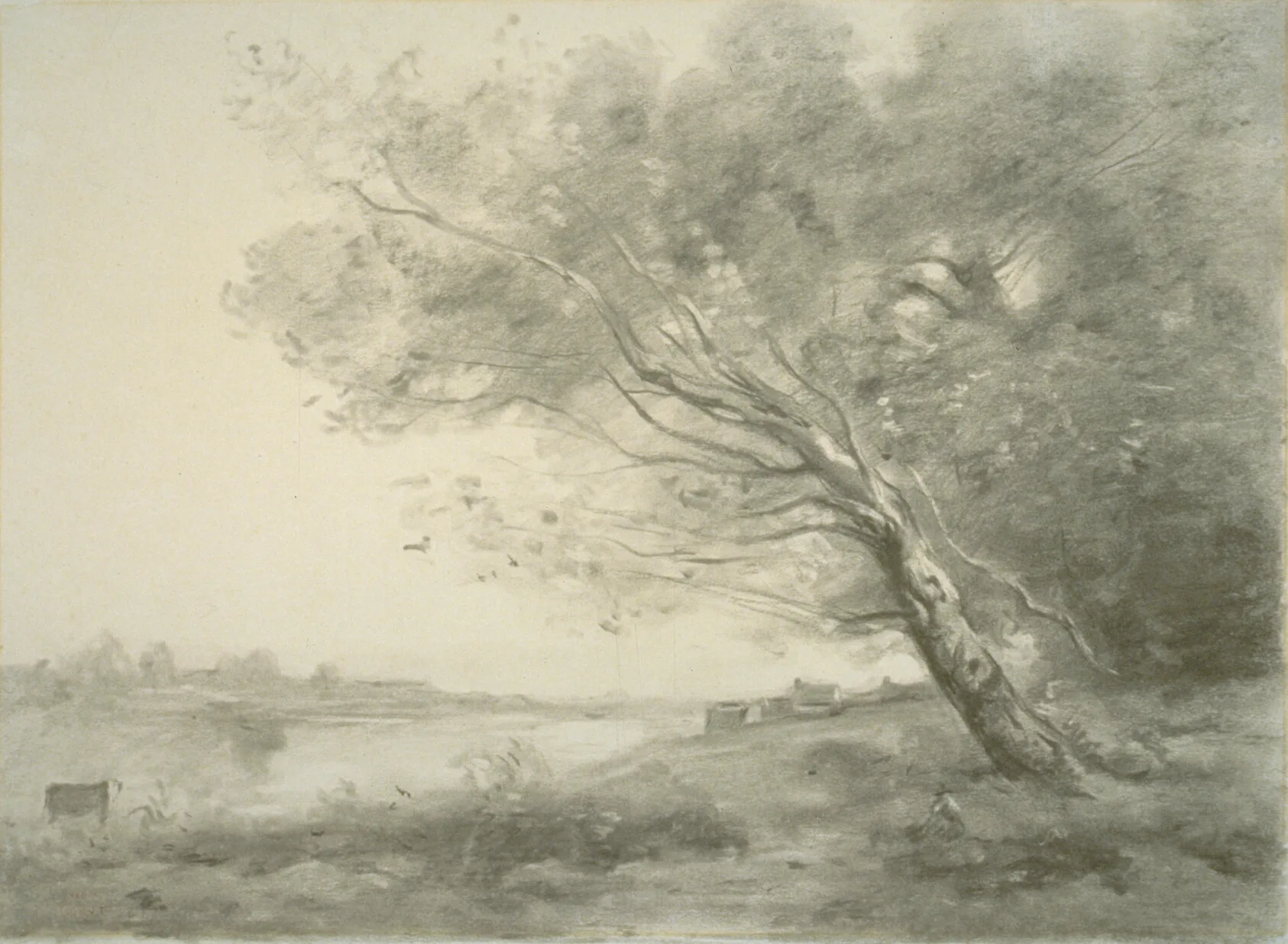 Bent Tree by the Water, Corot, 1860/70