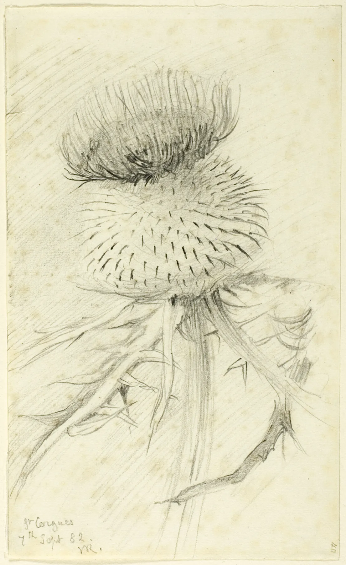 St. Cergues, Ruskin, 1882