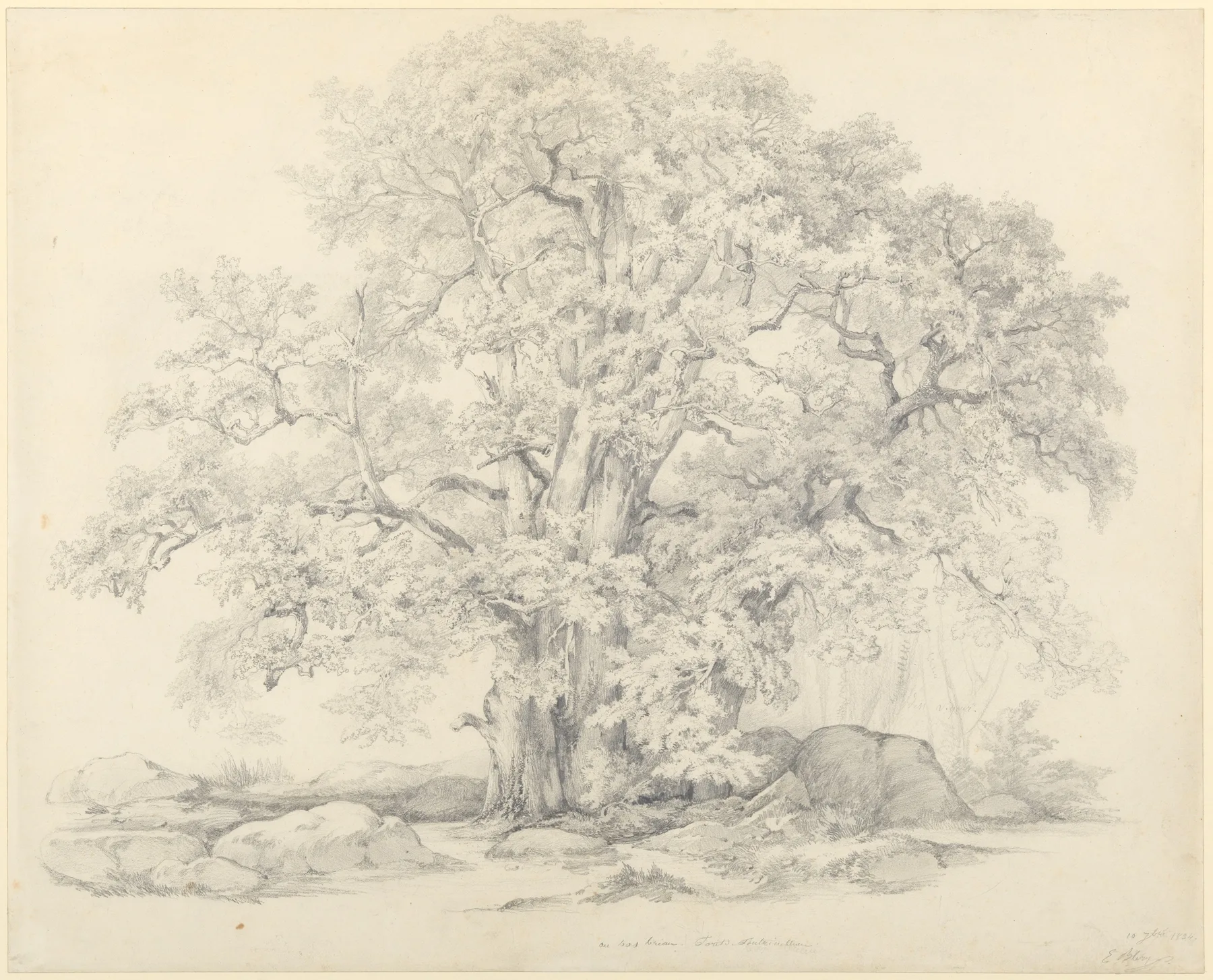 Tree and Rocks in the Forest of Fontainebleau, Bléry, 1834