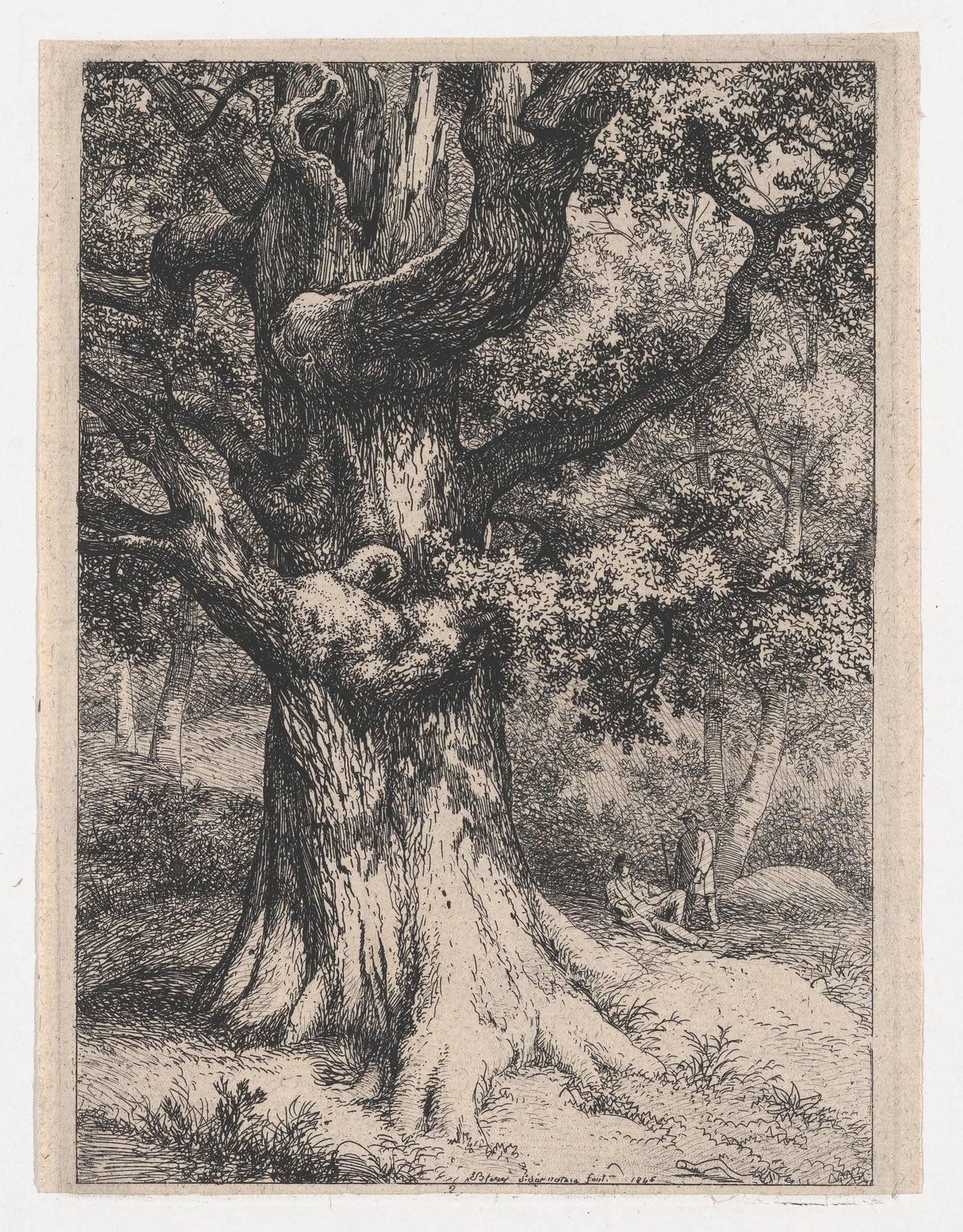 The Charlemagne, Oak Tree with an Eagle's Nest, Bléry, 1845