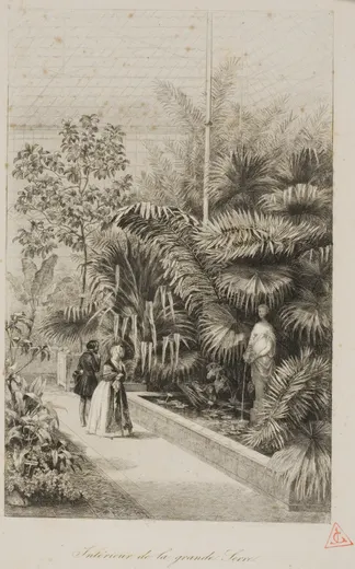 Interior of the Large Greenhouse, Daubigny