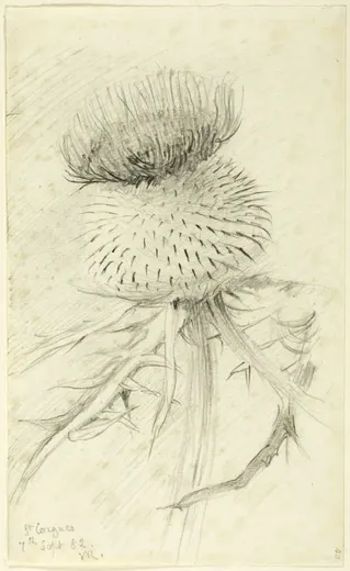 St. Cergues, Ruskin