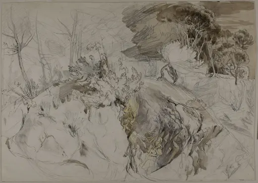 Shrubs and Trees in Rocky Landscape, Ruskin