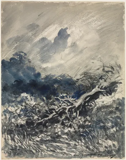 The Oak Tree and the Reed, Daubigny
