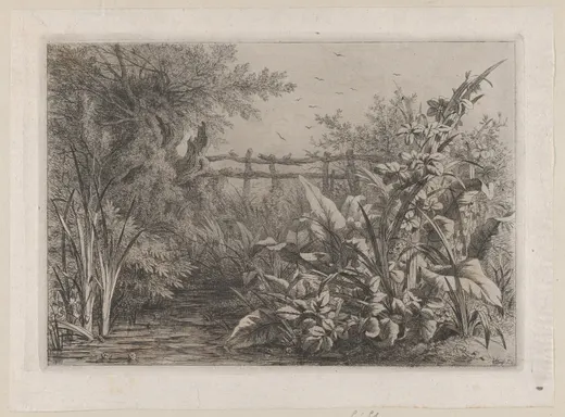 The Pond, Bléry