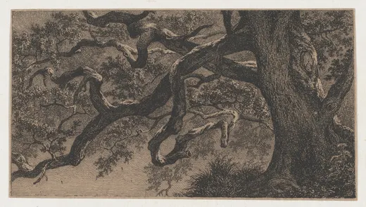 The Branches of an Oak Tree, Bléry